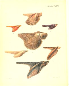 n537_w1150