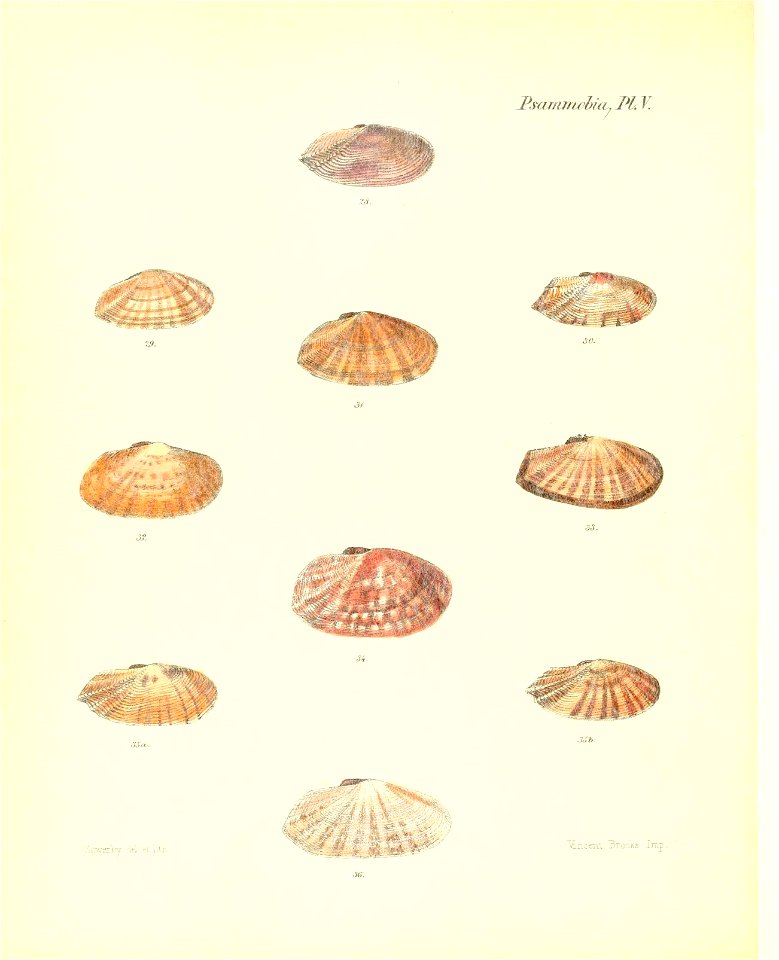 n339_w1150