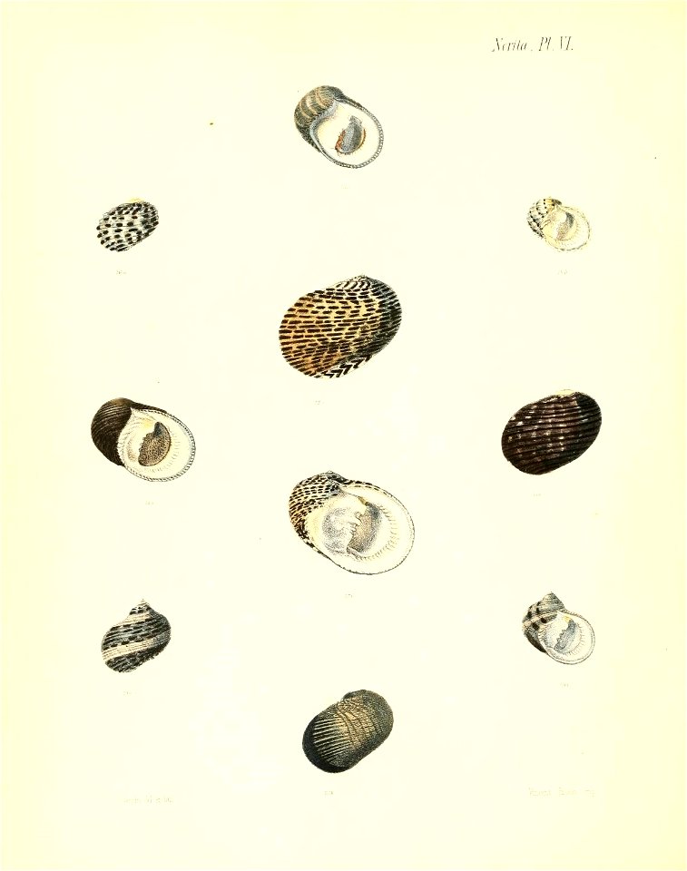 n451_w1150