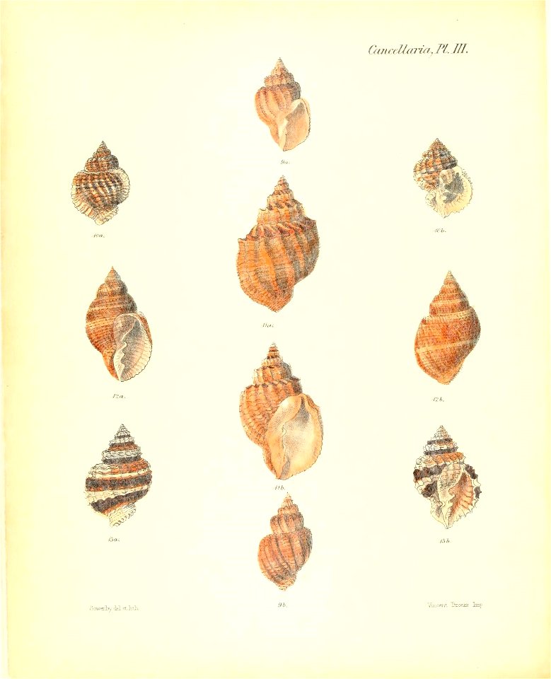 n137_w1150
