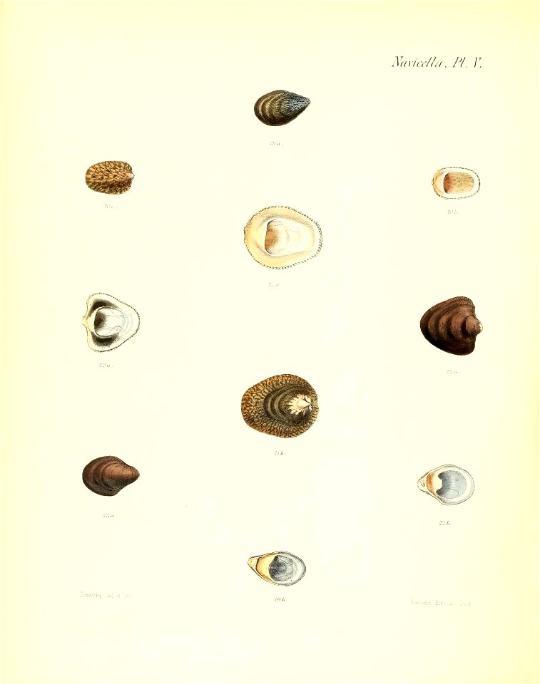 n379_w1150