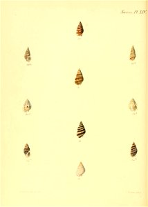n587_w1150