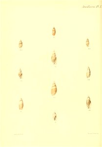 n199_w1150