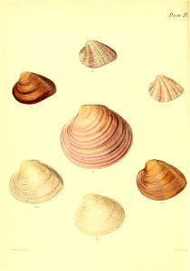 n497_w1150