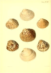 n369_w1150