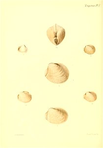 n305_w1150
