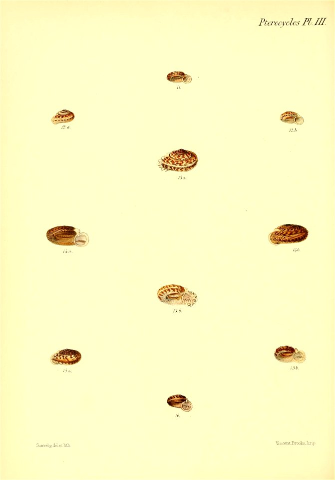 n165_w1150
