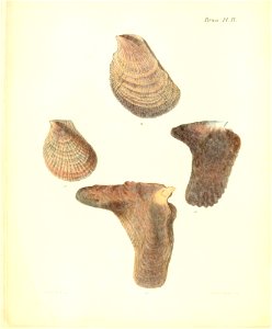 n163_w1150