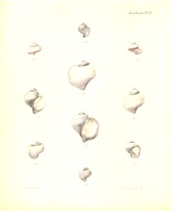 n237_w1150