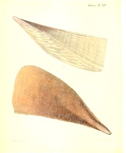n39_w1150