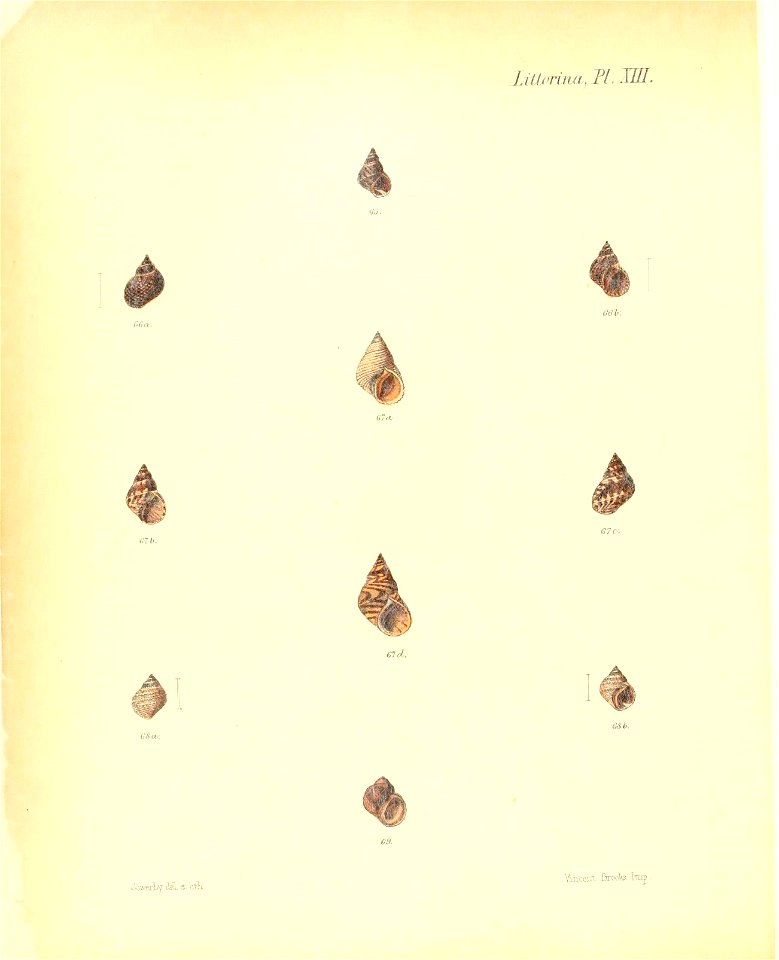 n253_w1150