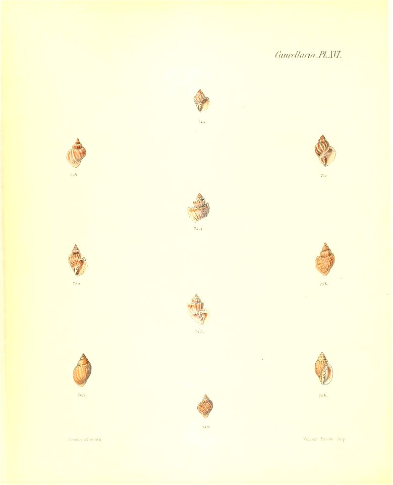 n189_w1150