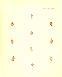 n189_w1150