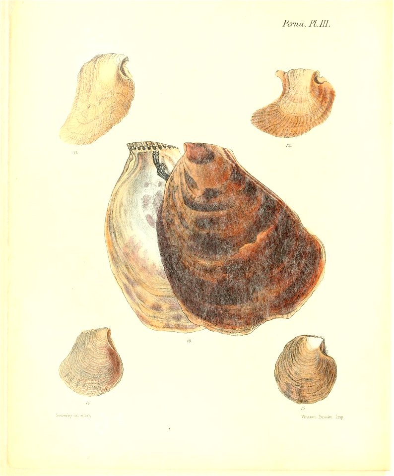n159_w1150