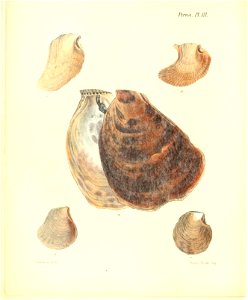 n159_w1150