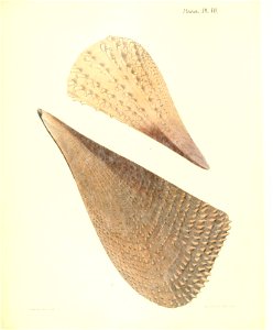 n35_w1150