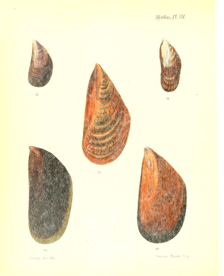 n389_w1150