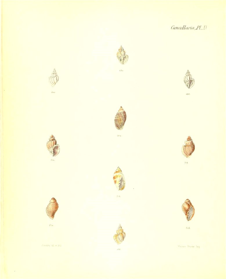 n185_w1150