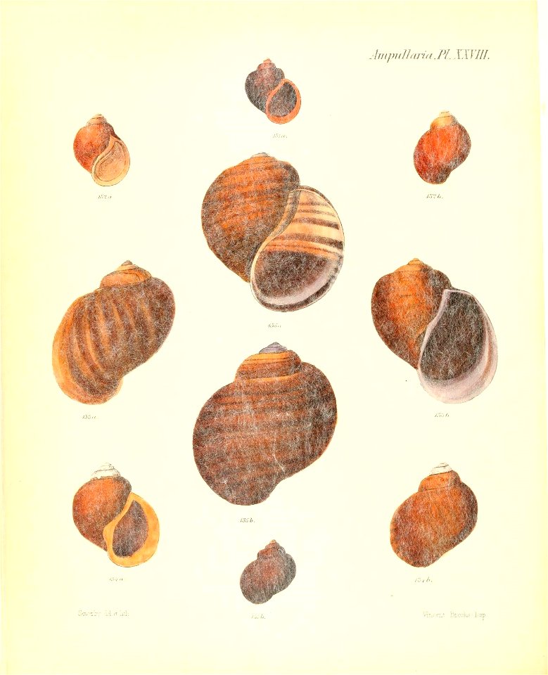 n121_w1150