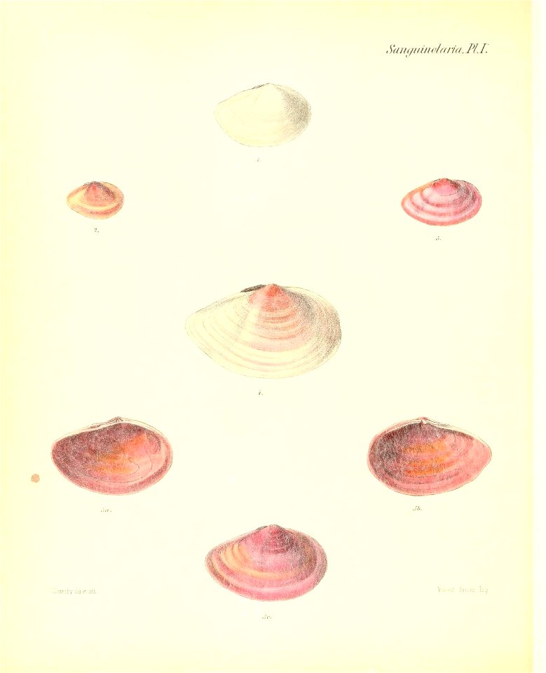 n317_w1150