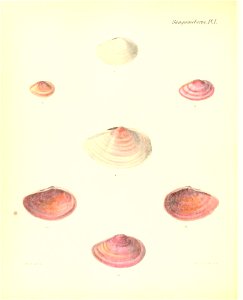 n317_w1150