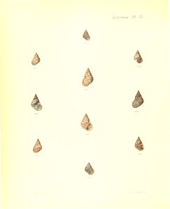 n245_w1150