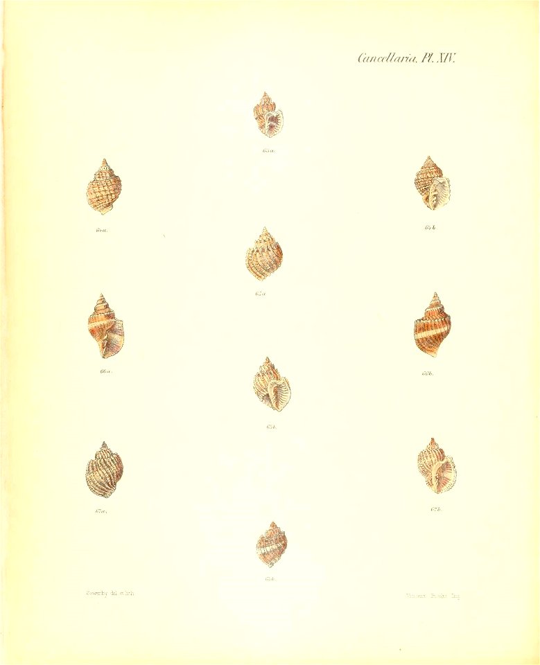 n181_w1150