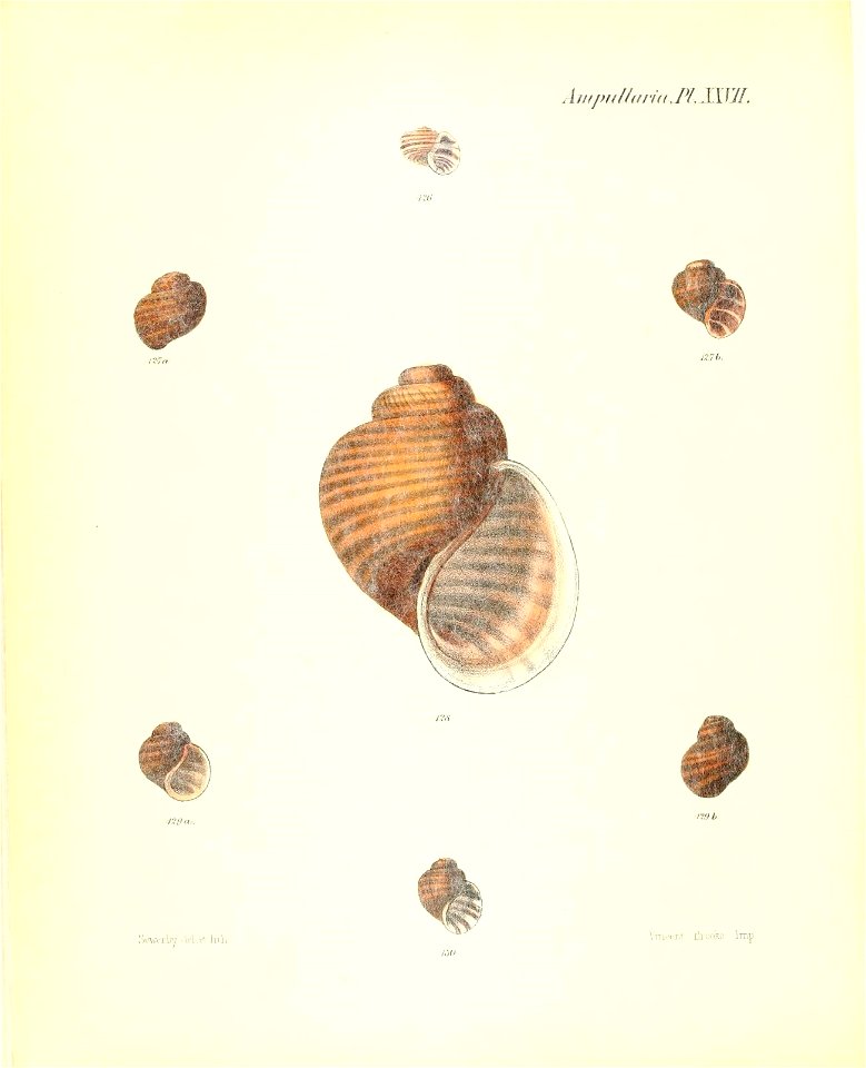 n117_w1150