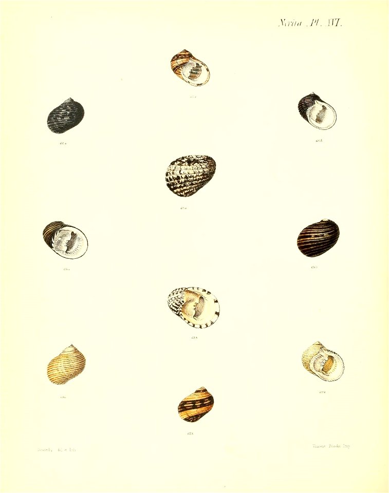 n491_w1150