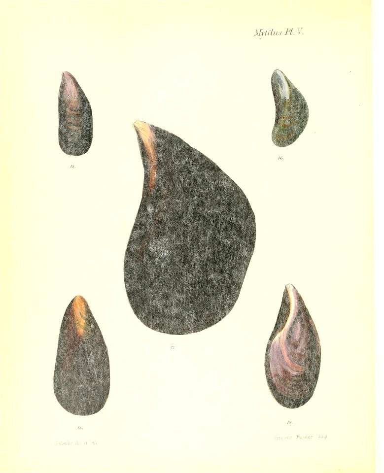 n381_w1150