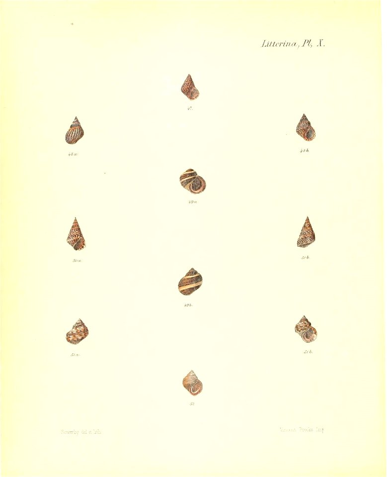 n241_w1150