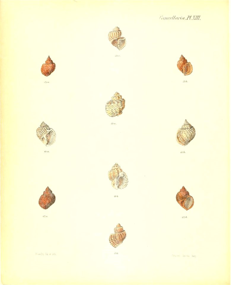 n177_w1150