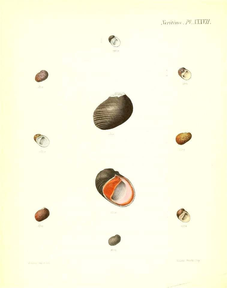 n231_w1150