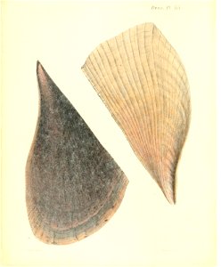n83_w1150
