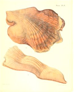 n23_w1150