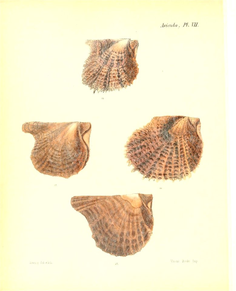 n509_w1150
