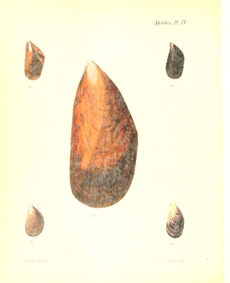 n377_w1150