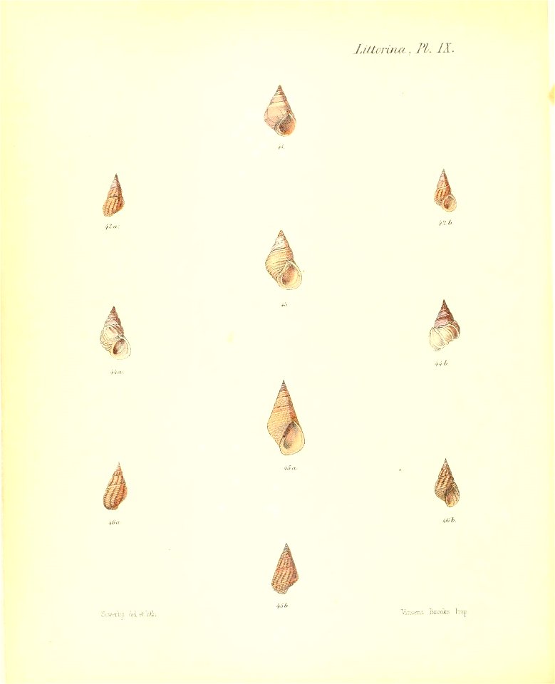 n237_w1150