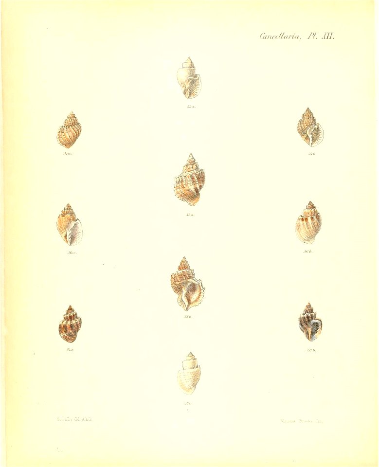 n173_w1150