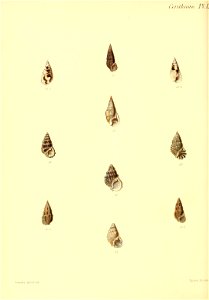 n373_w1150