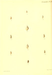 n307_w1150