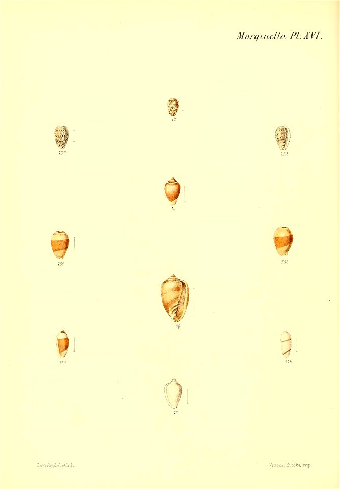 n111_w1150