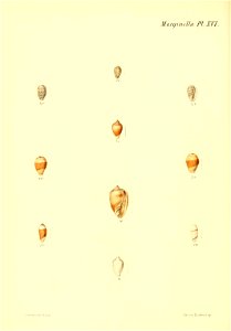 n111_w1150