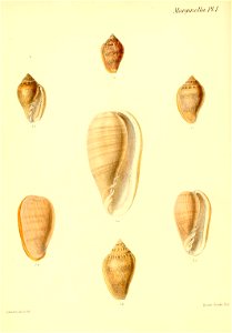 n51_w1150
