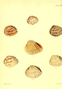 n537_w1150