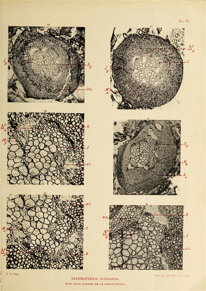 n20_w1150