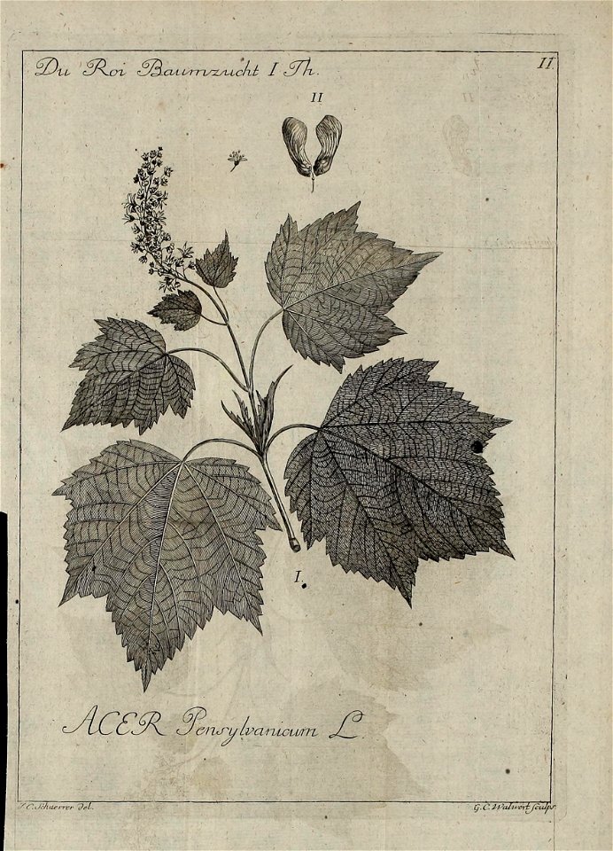 n534_w1150
