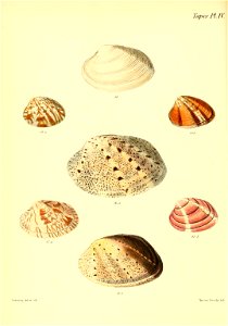 n577_w1150