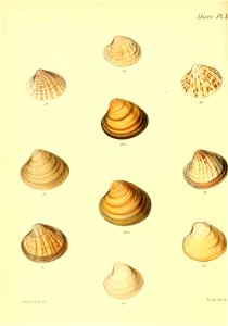 n509_w1150