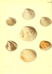 n381_w1150